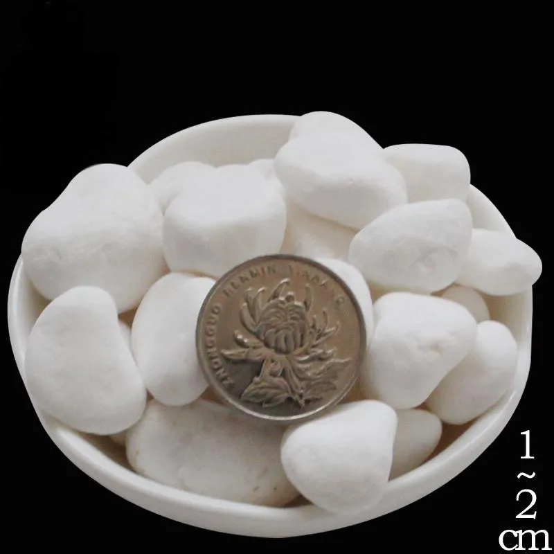 4sku(1)