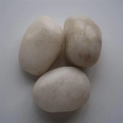 Natural Pebble Stones
